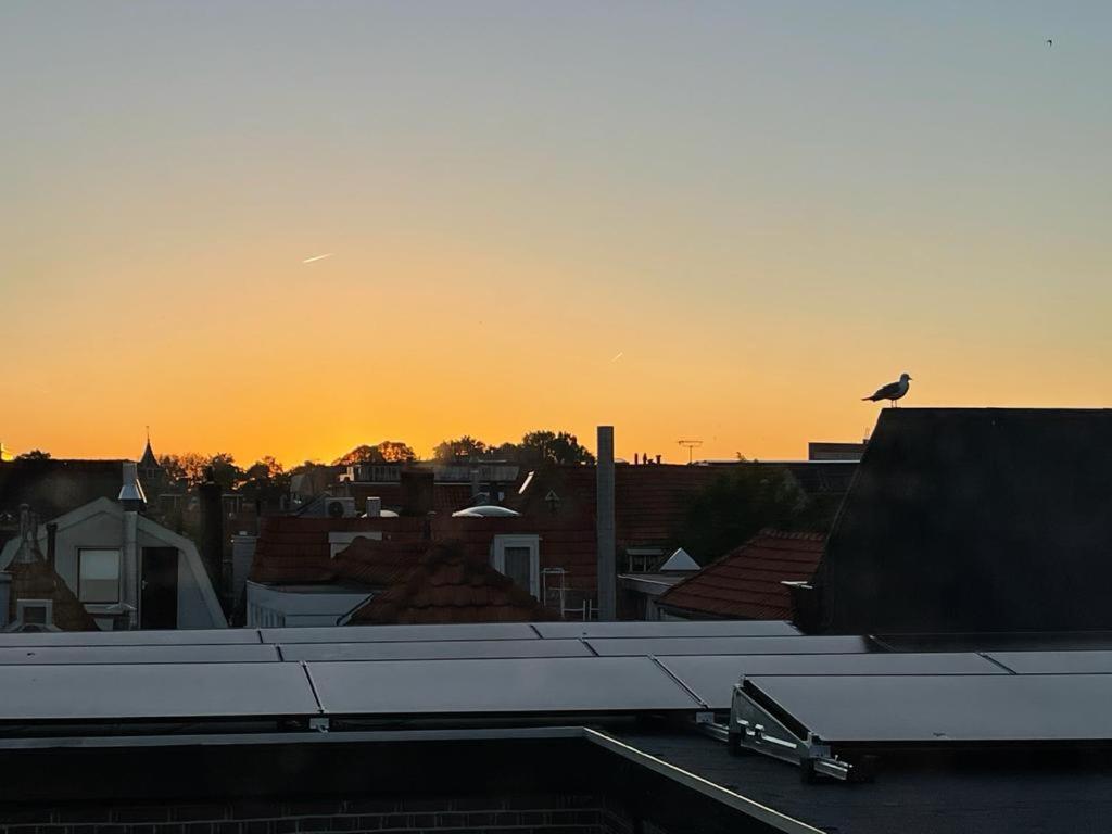 Mylos Studios Alkmaar Zewnętrze zdjęcie